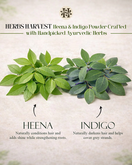 Herbs Harvest Henna & Indigo Powder Combo (200g Each) – 100% Natural Hair Color Kit