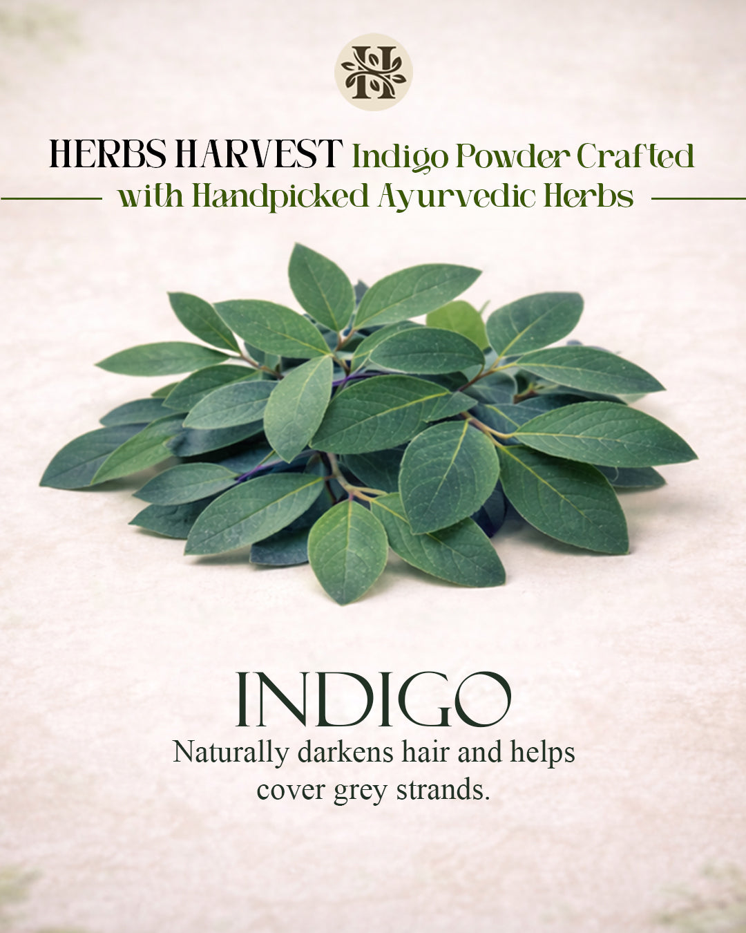 Herbs Harvest Indigo Powder - Natural Hair Dye Powder (200g)