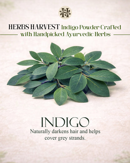 Herbs Harvest Indigo Powder - Natural Hair Dye Powder (200g)